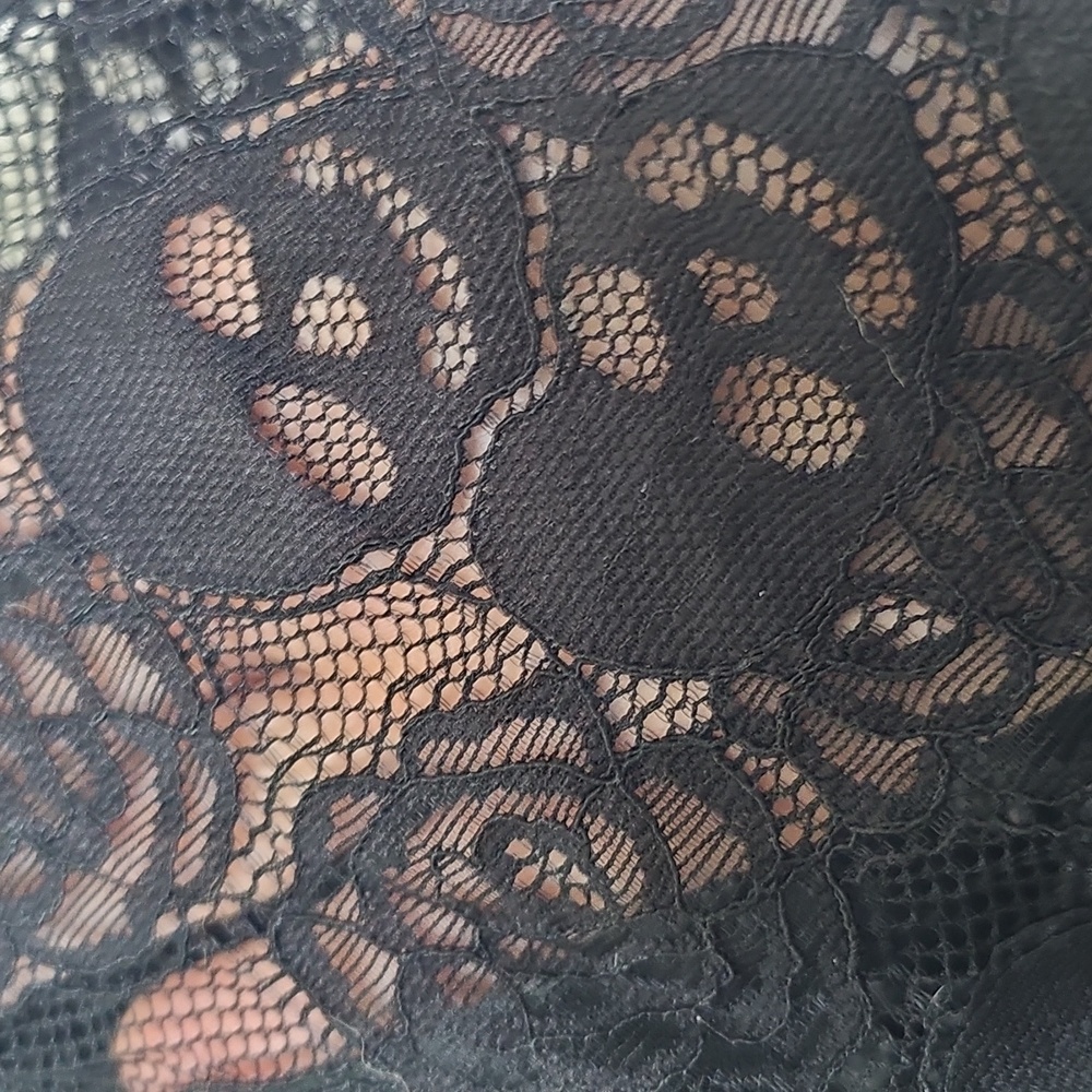 NWT Betsey Johnson X Torrid Cap Sleeve Lace Dress - Picture 6 of 13